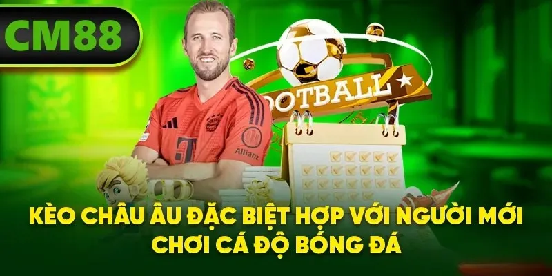 Kèo châu Âu đặc biệt hợp với người mới chơi cá độ bóng đá